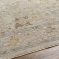 thumbnail image 4 of Livabliss Area Rugs for Living Room, 3x10 Avant Garde Traditional Taupe Runner Rug, Bedroom Dining Room Home Decor Stain Resistant Carpet (2'7" x 10' Runner), 4 of 5