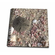 3dRose Photo of Sand Dollar and Shells, Beach in Oman, Photo by Rhonda Albom - Mini Notepad, 4 by 4-inch