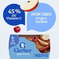thumbnail image 4 of Gerber 2nd Foods Natural for Baby Baby Food, Apple Cherry, 4 oz Tubs (2 Pack), 4 of 15