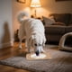 thumbnail image 4 of Comedero Lento Para Perros Almohadilla De Silicona Para Que Los Perros Laman Dispensador Para Cachorros Y Gatos Que Evita La Ansiedad Y El Desorden Seaflex Feast Mat – Comedero Lento Fomenta El, 4 of 5