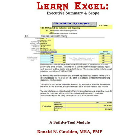 Learn Excel: Executive Summary & Scope - eBook (Best Scope For The Money)