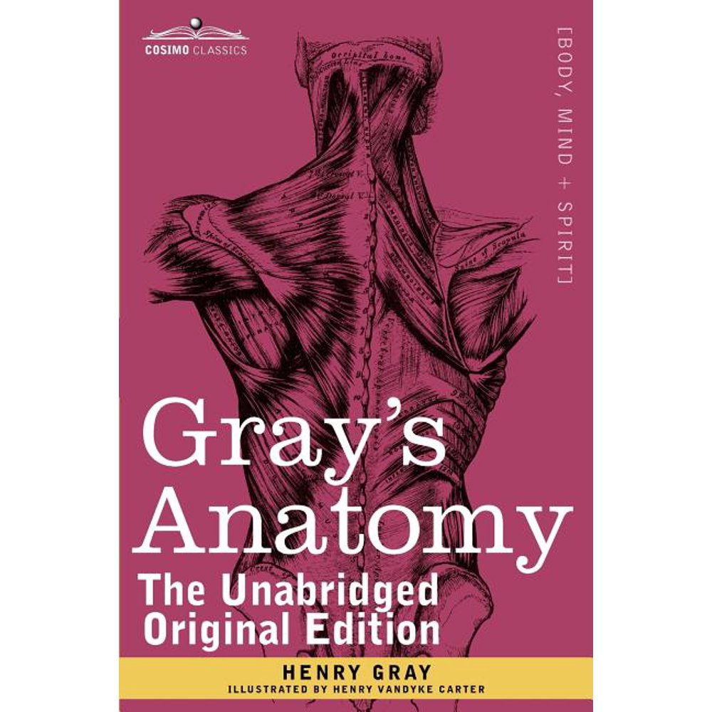 Gray's Anatomy : Descriptive and Surgical (Paperback) - Walmart.com