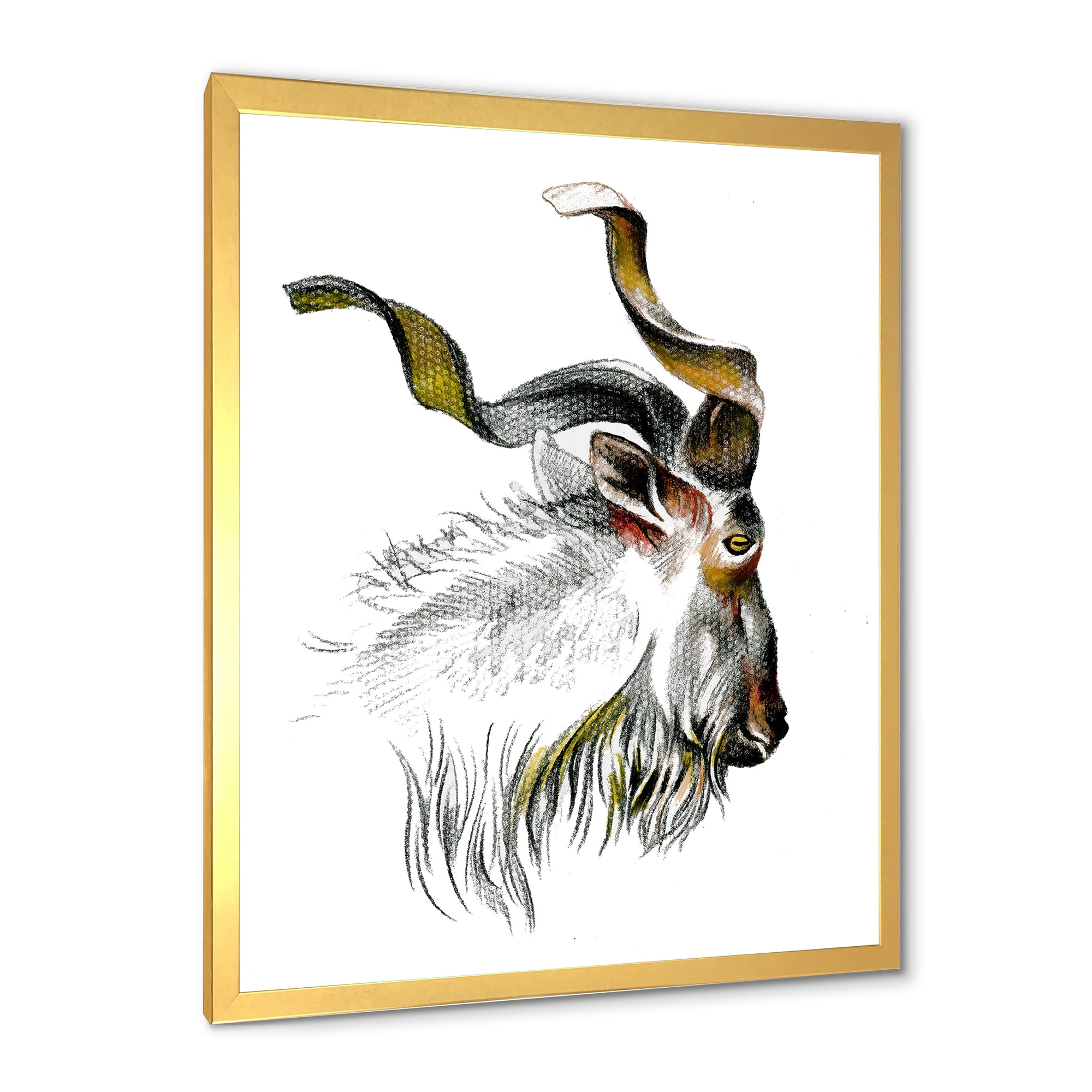 Designart 'Black and White Portrait Of Goat II' Farmhouse Framed Art Print
