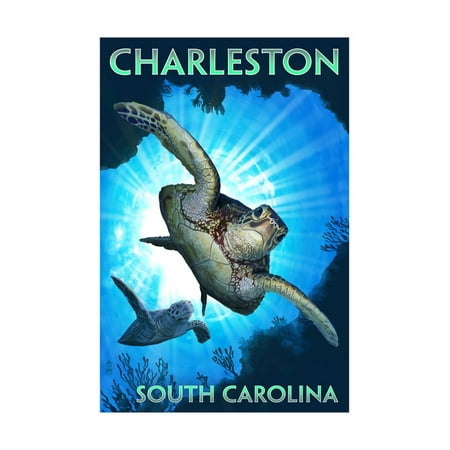 Charleston - South Carolina - Sea Turtle Diving Print Wall Art By Lantern