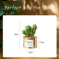 thumbnail image 2 of Simulation plant potted tropical cactus creative home decoration artificial flower pot landscape green plants - type:style4;, 2 of 5
