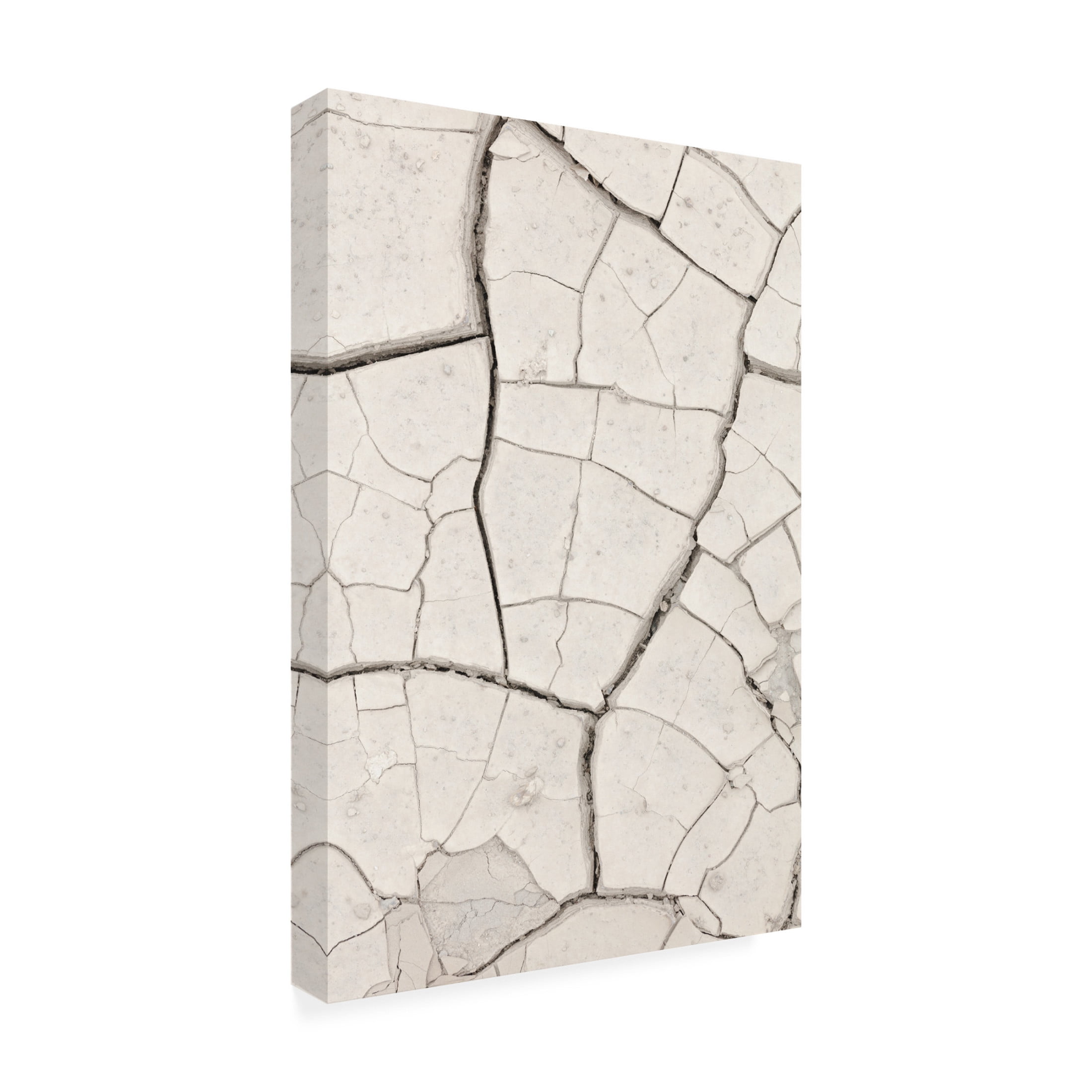 Trademark Fine Art Pictufy Studio Clay Wall Light Sand Canvas Wall Art