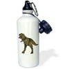 3dRose A Tyrannosaurus Rex dinosaur attacking, Sports Water Bottle, 21oz