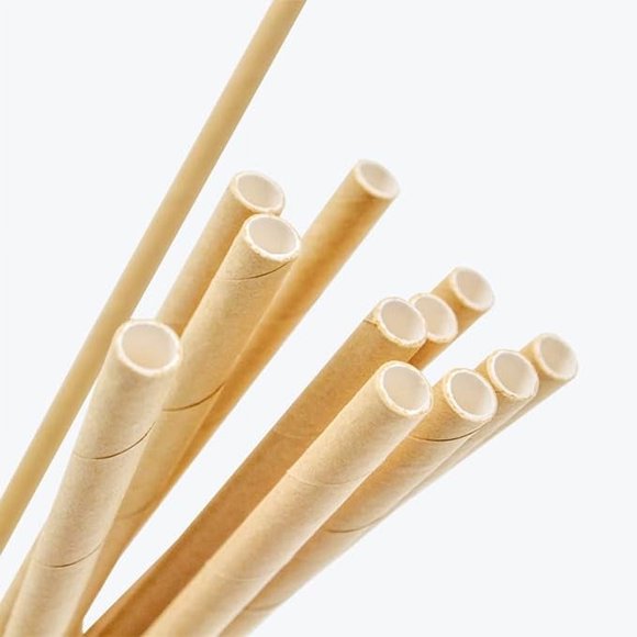 Reharvest Pajitas Antihumedad 20 Cm (8") Envueltas Individualmente [Paquete de 100], 100 % Biodegradables, Compostables en Casa, sin Plástico, sin PFA, Hechas de Fibras de Caña de Azúcar de Bagazo