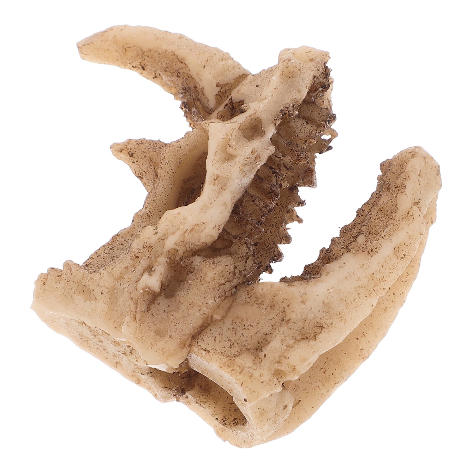 EXHUMKY Beige Resin Rhino Skull Decor Creative Reptile Hideout for Turtle Snake and Frog Habitat