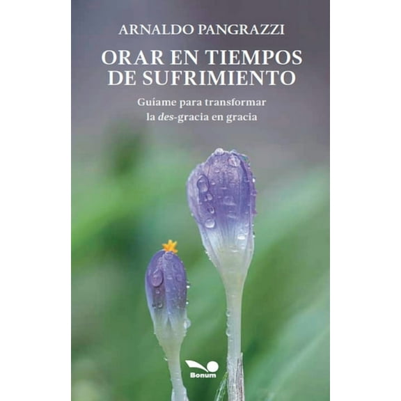 Orar en tiempos de sufrimiento: GuÃ­ame para transformar la des-gracia en gracia, (Paperback)
