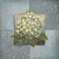 thumbnail image 3 of Pinto, Patricia 20x20 Black Modern Framed Museum Art Print Titled - Hydrangeas on Blue I, 3 of 5