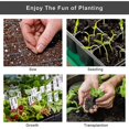 thumbnail image 5 of Bandejas de plántulas de semillas de invernadero Germinación de plantas de flores Caja de cultivo Macetas para viveros Invernaderos Jardinería, 5 of 5