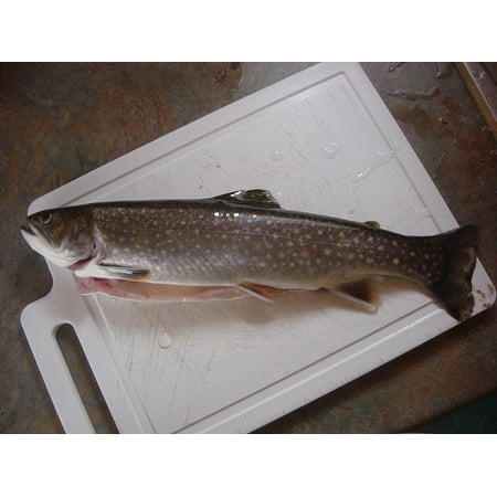 Canvas Print Dinner Fresh Healthy Trout Food Seafood Fish Stretched Canvas 10 x