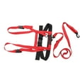 thumbnail image 3 of Kids Ski Shoulder Harness, Portable Kids Ski Safety Strap Nylon Widely Applicable Easy To Use  for Fall Prevention Training Red, 3 of 7