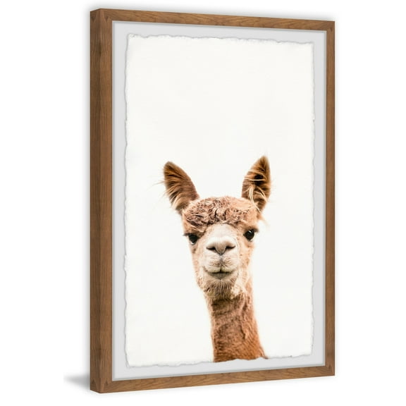 Marmont Hill Llama Face Iv Framed Wall Art, 8.00" x 1.50"