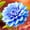 A, variant on Dahlia, Low Maintenance - Easy Grow - Ideal for Beds Borders, Plant Pots & Planters