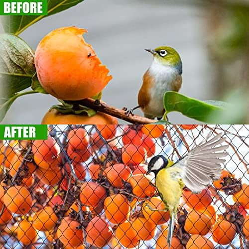 Bird Netting for Chicken Coop-50x50ft Poultry Netting Over Chicken Run & Chicken Pen, Heavy Duty 2.4” Mesh Garden Net for Blueberry Bushes, Fruit Trees and Vegetable Against Birds, Deer, Squirrels