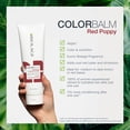 thumbnail image 3 of Matrix Biolage ColorBalm Rouge Pavot Revitalisant Dépôt de Couleur 8,5 oz, 3 of 7