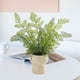 thumbnail image 5 of Decoración de Planta Verde Simulada, Plantas en Macetas Pequeñas, Decoración de Sala de Estar, Flores Artificiales, Plantas Verdes Eternas, Decoración de Bonsái Interior Decoraciones Del Hogar para La, 5 of 6