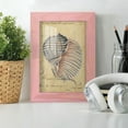 thumbnail image 6 of Seashell Ephemera V - Framed Print w/glass - Sunset Pink, 6 of 8