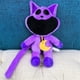 thumbnail image 4 of New Smiling Critters Plush Toy, Funny Smiling Critters Pillow,smiling Critters Plush Catnap Plush F, 4 of 4