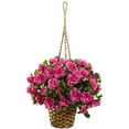 thumbnail image 1 of Azalea Hanging Basket, 1 of 3