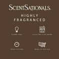 thumbnail image 3 of ScentSationals Feelin' Cozy Scented Wax Melts Air Freshener, 5 oz, 3 of 5