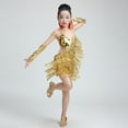 thumbnail image 3 of Bearichfupo Girls Party Dancewear Ballroom Dance Dress Girl's Sequined Fringe Latin Practice Dresses + Sleeves, Sizes 4-5 Years, 3 of 3