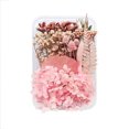 thumbnail image 1 of keepw Dried Flower Plants Dry Making Candle DIY Crafts Handcrafted Home Wedding Epoxy Necklace Jewelry Ring Accessory type4, 1 of 6