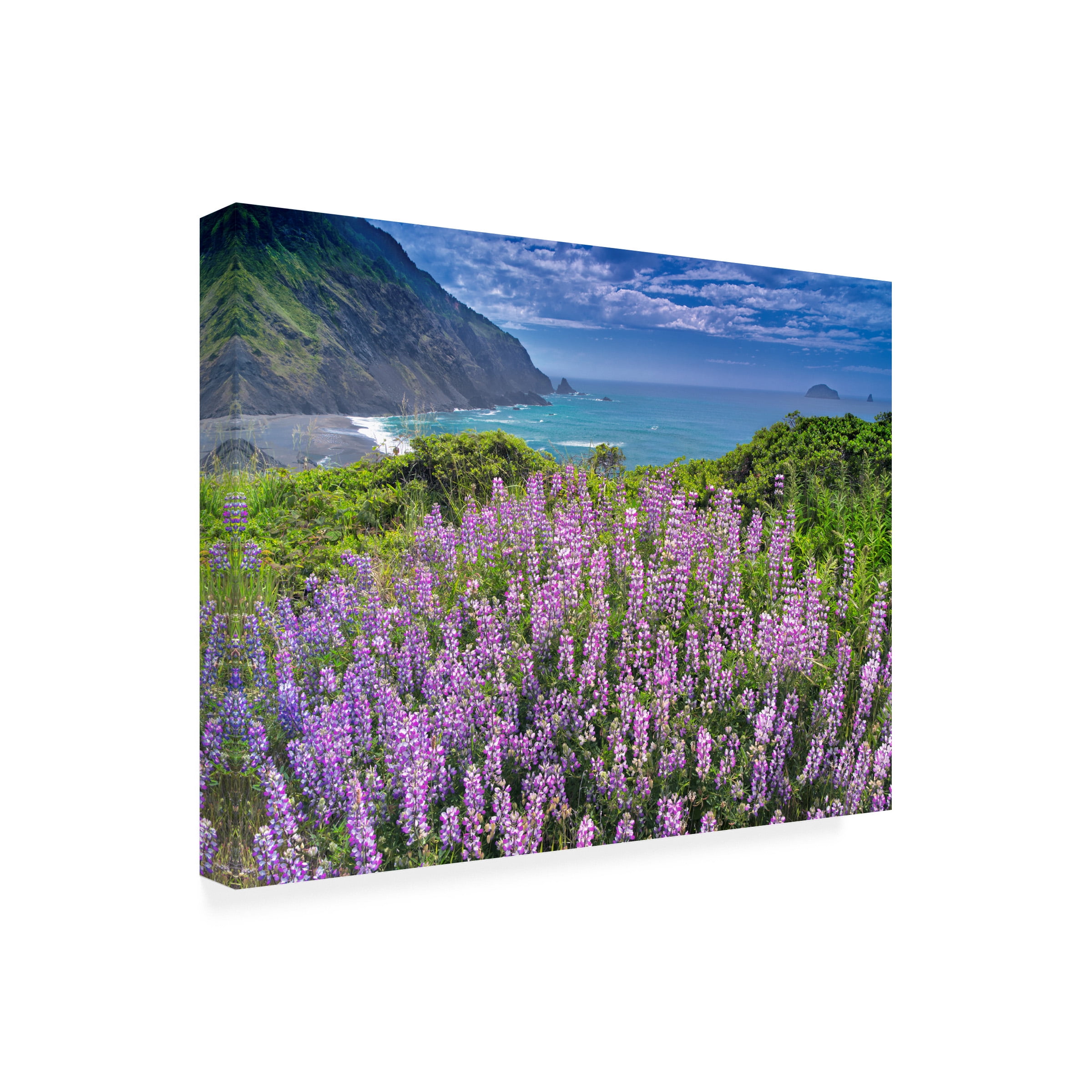 Dennis Frates 'Sea Grass 5' Canvas Art