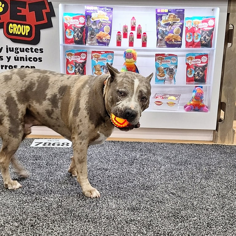 Juguetes para perros fuertes hotsell