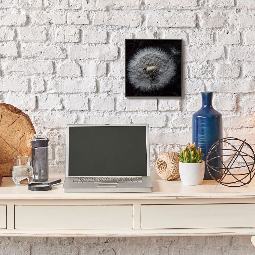 Stupell Industries Close Up Dandelion Petals Black Brown White Photograph Framed Wall Art Design by Andre Eichman, 12" x 12", Black Framed