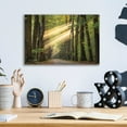 thumbnail image 3 of Epic Art 'Rayzor Light' by Martin Podt, Acrylic Glass Wall Art, 16"x12", 3 of 3