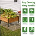 Gardener's Supply Company Raised Garden Bed Elevated Cedar Planter Box