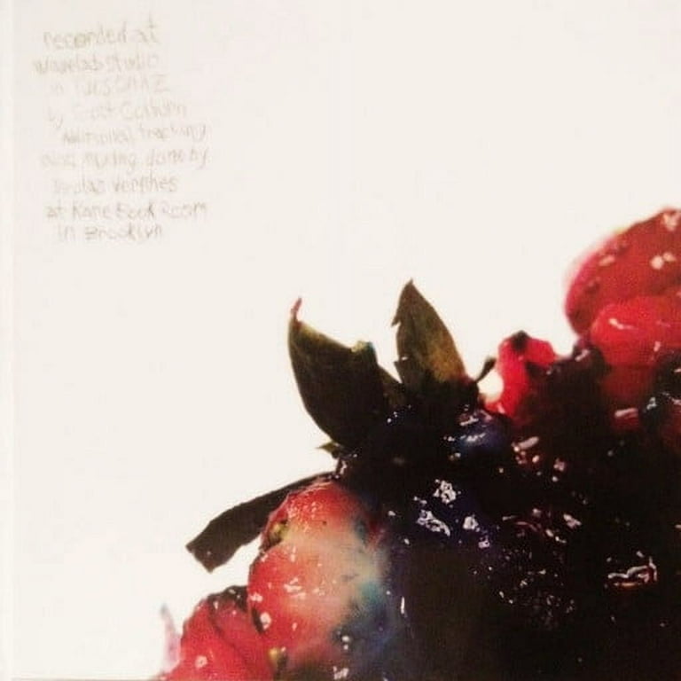 Animal Collective - Strawberry Jam - Music & Performance
