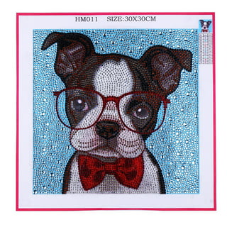 Sheehow 5D Diamond Painting Kits for Adults Eyeglass Dog, Full Drill  Diamond Art Bulldog Animal , Gem Pictures by Numbers Art, DIY Cross Stitch  Jewel
