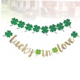 thumbnail image 3 of HEALEEP 2Ud Para Fiesta De San En Verde Para Colgar Interior Y Exterior, 3 of 8