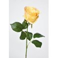thumbnail image 3 of 22" Faux Large Rose Bud Stem Yellow, 3 of 6