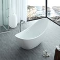 thumbnail image 2 of Crescent 73 Inch Acrylic Double Slipper Freestanding Tub - No Faucet Drillings, 2 of 2