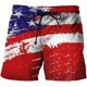 thumbnail image 1 of Pantalones cortos de baño para hombre, bañador con bandera americana 3d, tabla de surf, pantalones cortos de playa para niños, bañador con bandera de EE. UU., pantalones deportivos, calzoncillos para Fivean unisex, 1 of 2