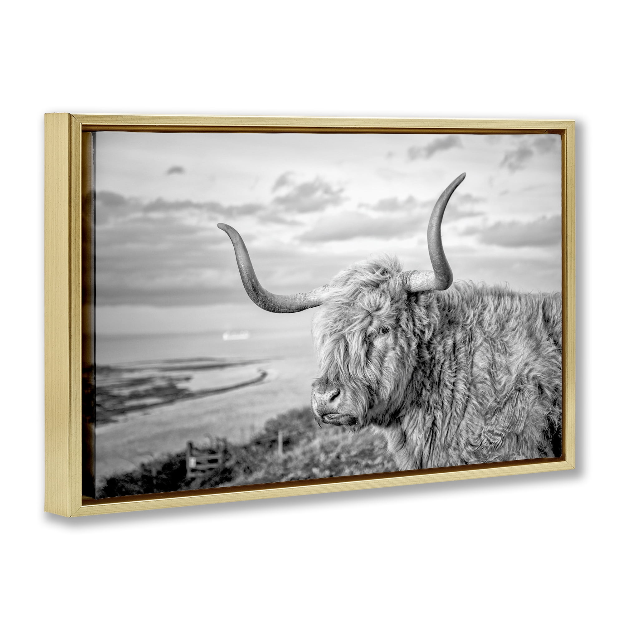 Stupell Industries Cattle with Ocean Breeze Animals & Insects Photography Gold Floater Framed Canvas Art Print Wall Art, 31 x 21