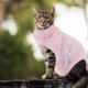 thumbnail image 2 of KAKOWELY Abrigo de invierno y otoño para gatos y perros, ropa cálida para mascotas, disfraz de invierno para perros y gatos (XS), 2 of 4