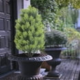 thumbnail image 5 of Artificial Cedar Topiary Trees for Outdoors, Faux Plants with Ground Spike, Shrubs and Bushes for Porch, Garden & Room Decoration, Low-Maintenance Indoor/Outdoor Greenery, 5 of 8
