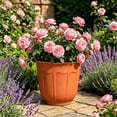 thumbnail image 5 of Plastic Flower Pots, Wavy Rim Planters, Faux-Ceramic Brown Flower Pots With Base Tray, Lightweight Durable Gardening Containers For Indoor Outdoor Use, 5 of 6