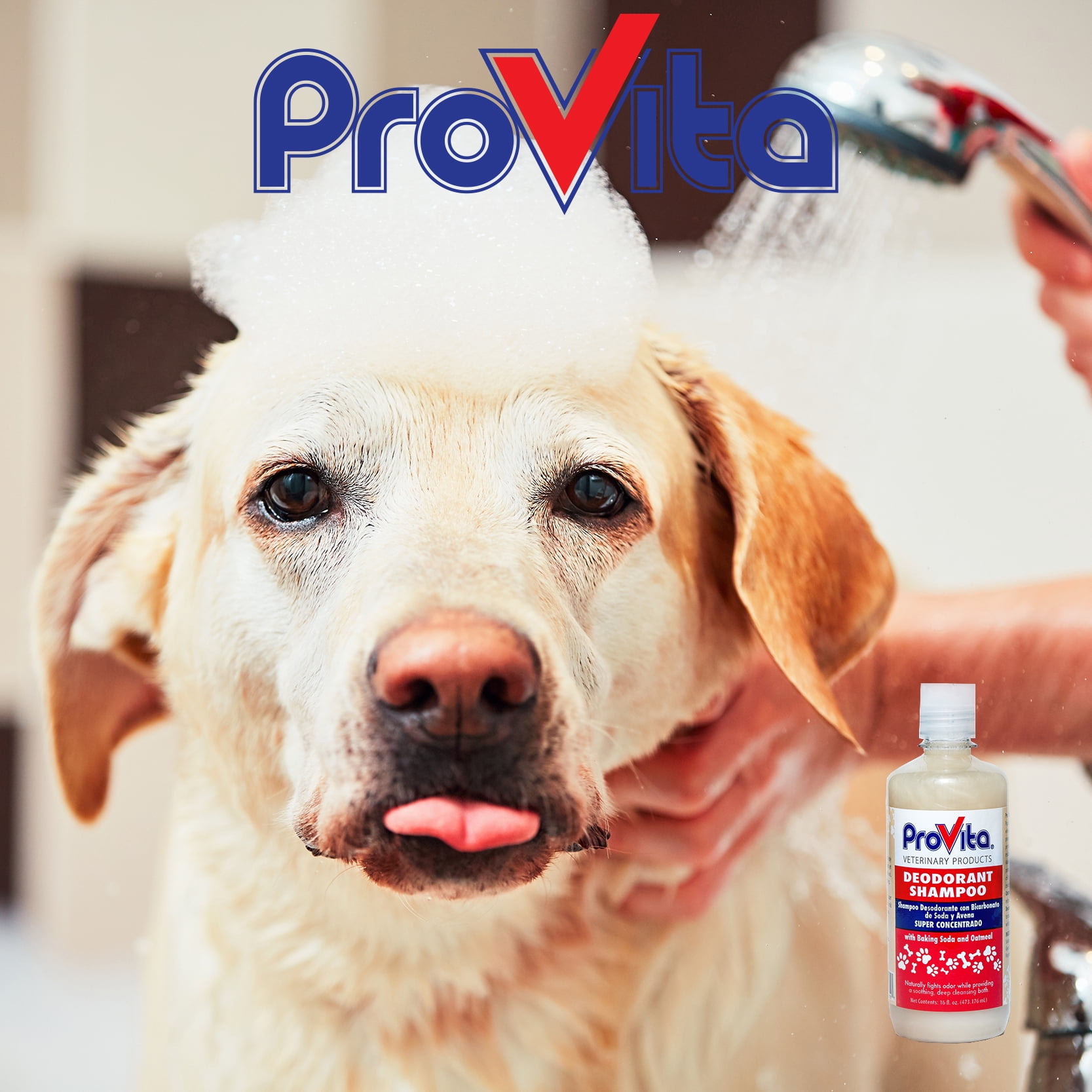 Provita Deodorant Shampoo with Oatmeal and Baking Soda for Cats and Dogs,16oz