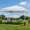 White Top 10*10ft, variant on Panapinka Pop Up Canopy Tent 10x10ft, Waterproof Outdoor Gazebo, Commercial Grade Shelter for Camping, Patio, Backyard, Parties and Events