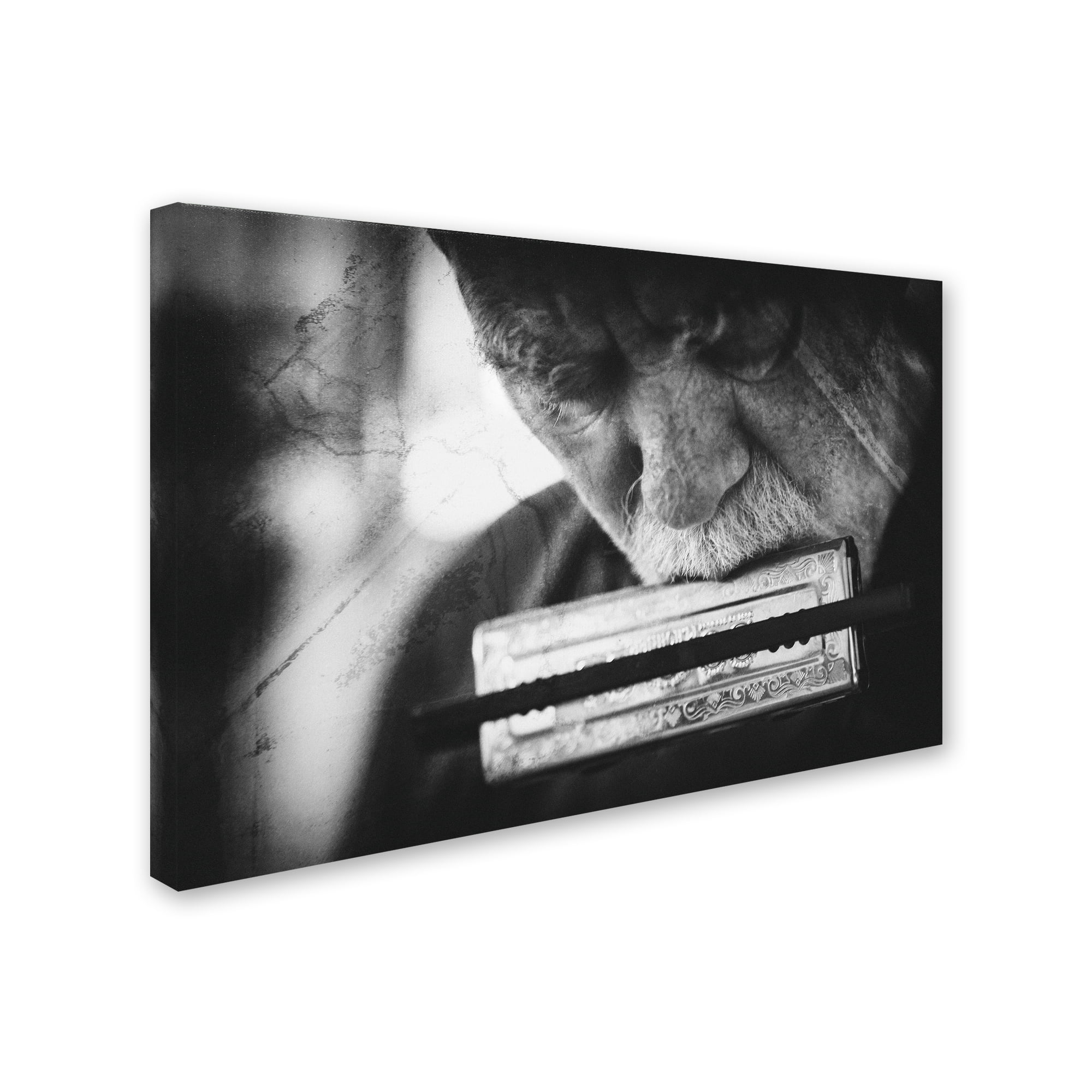 Trademark Fine Art 'Wolf With Harmonica' Canvas Art by Roswitha Schleicher Schwarz