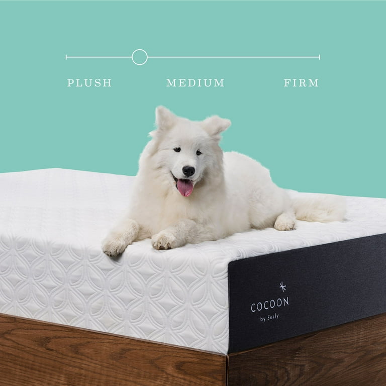 Sealy Cocoon by Sealy Essentials 8 Sealy Cocoon by Sealy Essentials 8