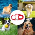 thumbnail image 5 of Collar para mascotas, correa para perros, correa para gatos, para pasear perros al aire libre, correa para perros en miniatura, cadena para perros, 5 of 5
