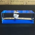 thumbnail image 4 of Cruise Ship Fluid Drift Bottle, Boxed Unsinkable Ship, Drift Bottle, One Piece Drift Bottle, 4 of 5